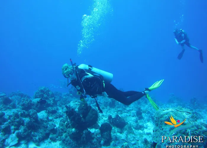 Kokomo Botanical Resort - Caribbean Family Cottages Turtle Cove